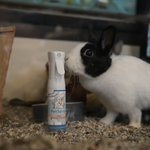 Jeuk Bij Knaagdieren - 80ML