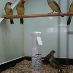 Jeuk Bij Vogels - 80ML